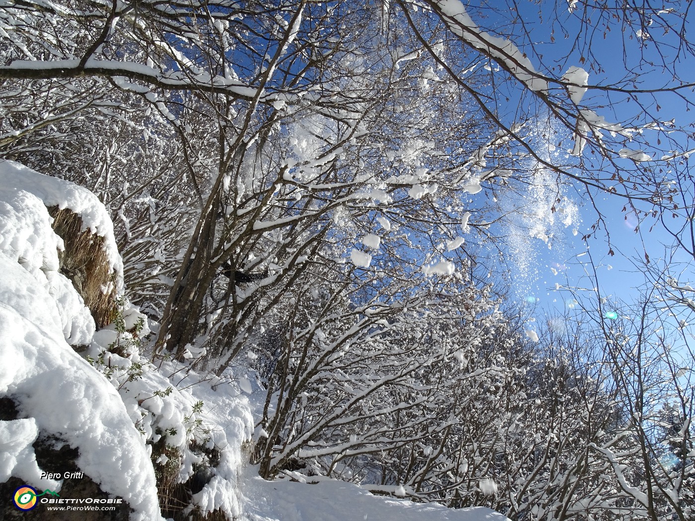 31 E ci godiamo la neve cadere in testa .JPG